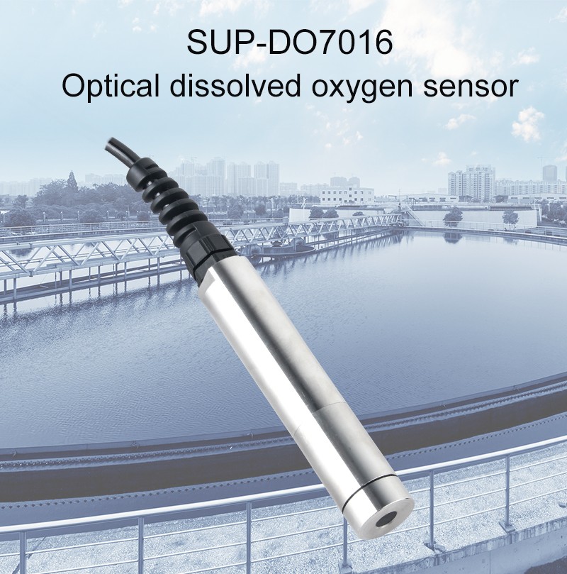 Optical dissolved oxygen sensor dissolved oxygen sensor