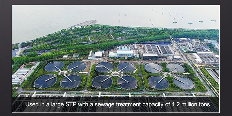 STP pH meter
